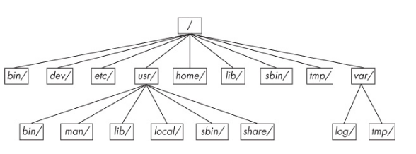 Linux directory hierarchy